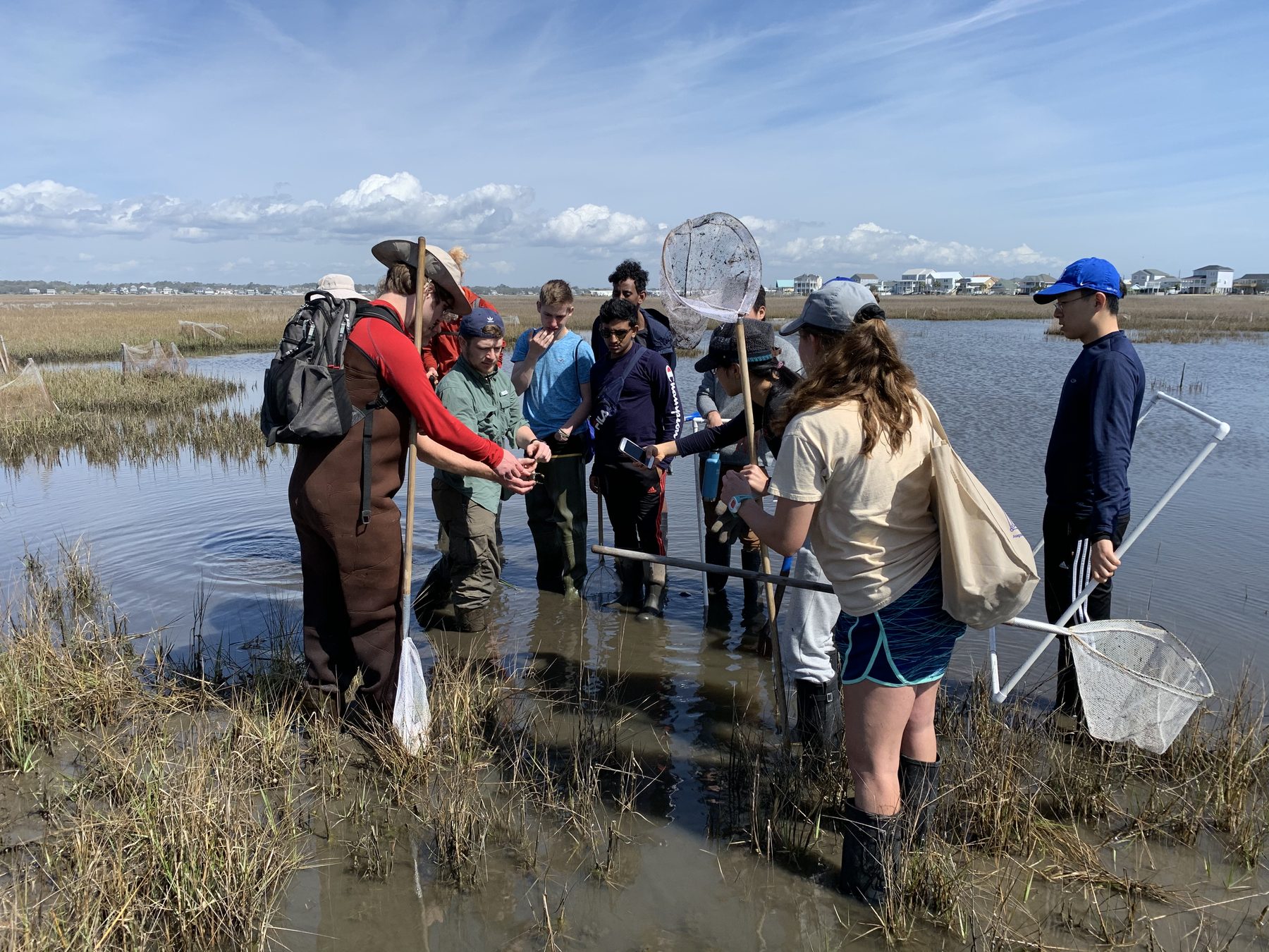 Sampling in a tidal marsh