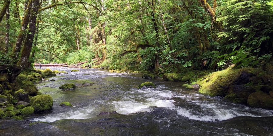 Scientists at work: we use environmental DNA to monitor how human activities affect life in rivers and streams